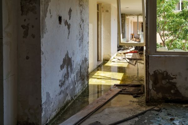 Cost of Water Removal Service in Huntington Station